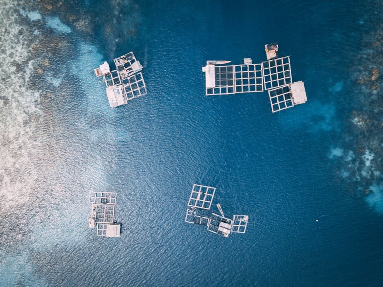 Culturas em águas marinhas (aquicultura)